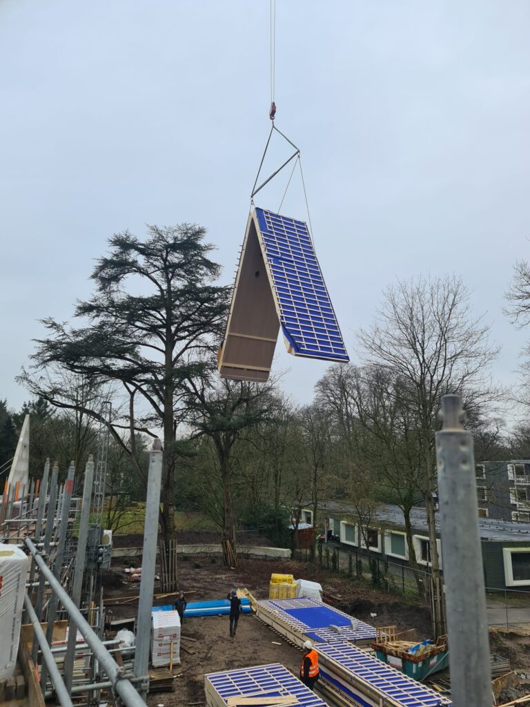 WhatsApp Image 2024-10-20 at 16.26.31 (5)